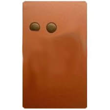 Télécommande WECLA_CDS wecla-cds-801023d